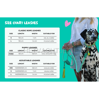 DWAM - Classic Carrot Cake Hondenlijn