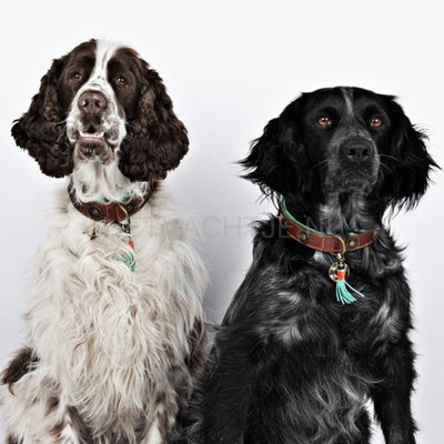 Dwam - Urban Halsband