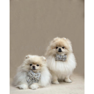 Floofs And Cookies - Noé Sailor Vinderdas