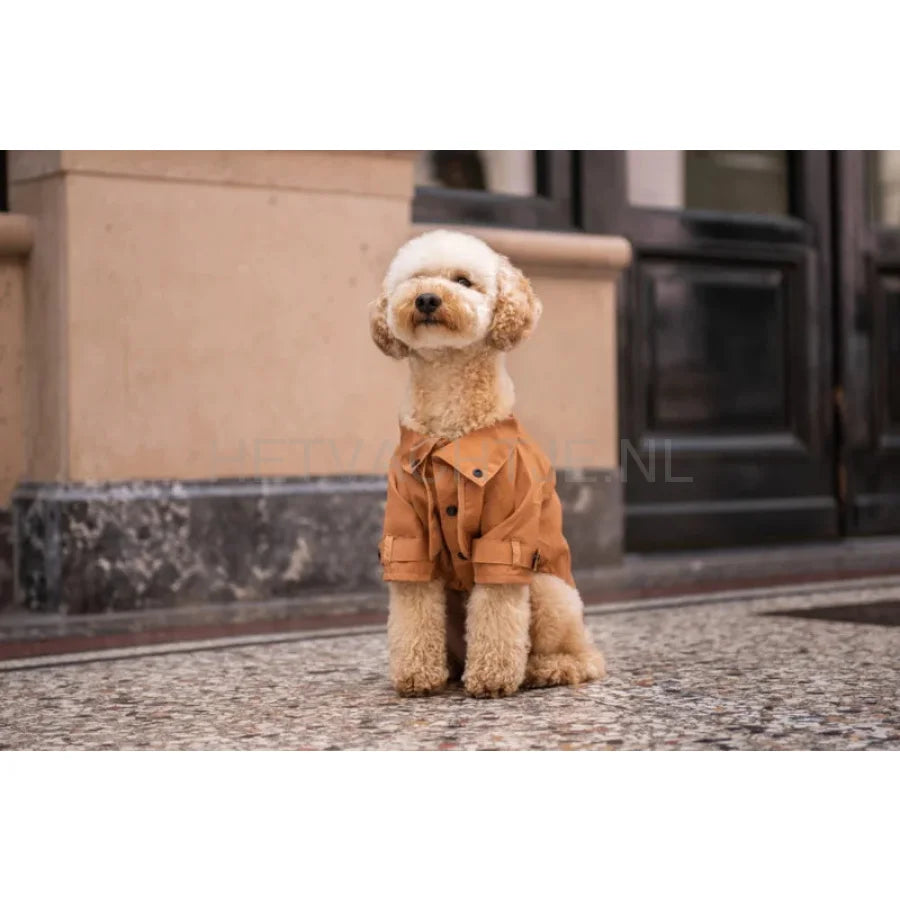 Floofs And Cookies - Rain Coat Mocha