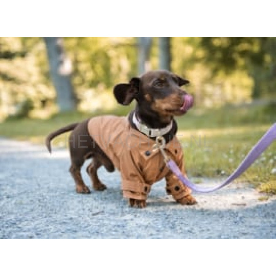 Floofs And Cookies - Rain Coat Mocha