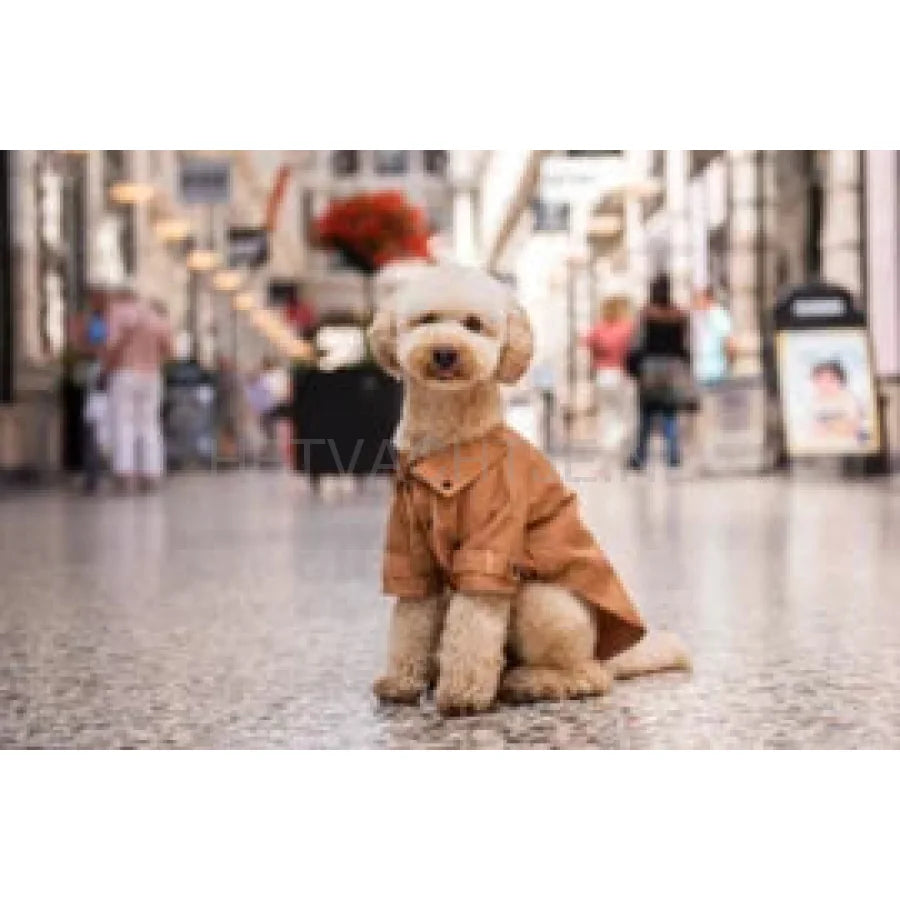 Floofs And Cookies - Rain Coat Mocha