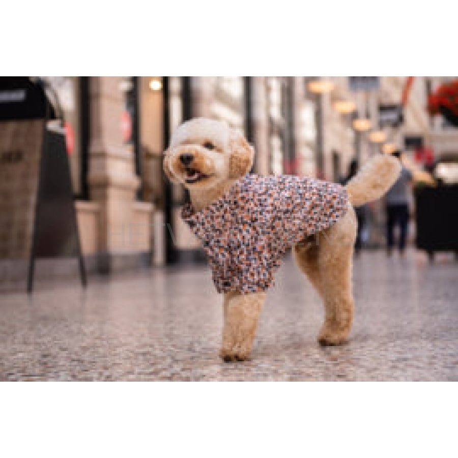 Floofs And Cookies - Rain Coat Roqi