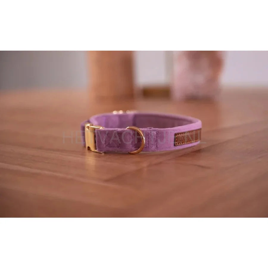 Floofs And Cookies - Velvy Lavie Halsband