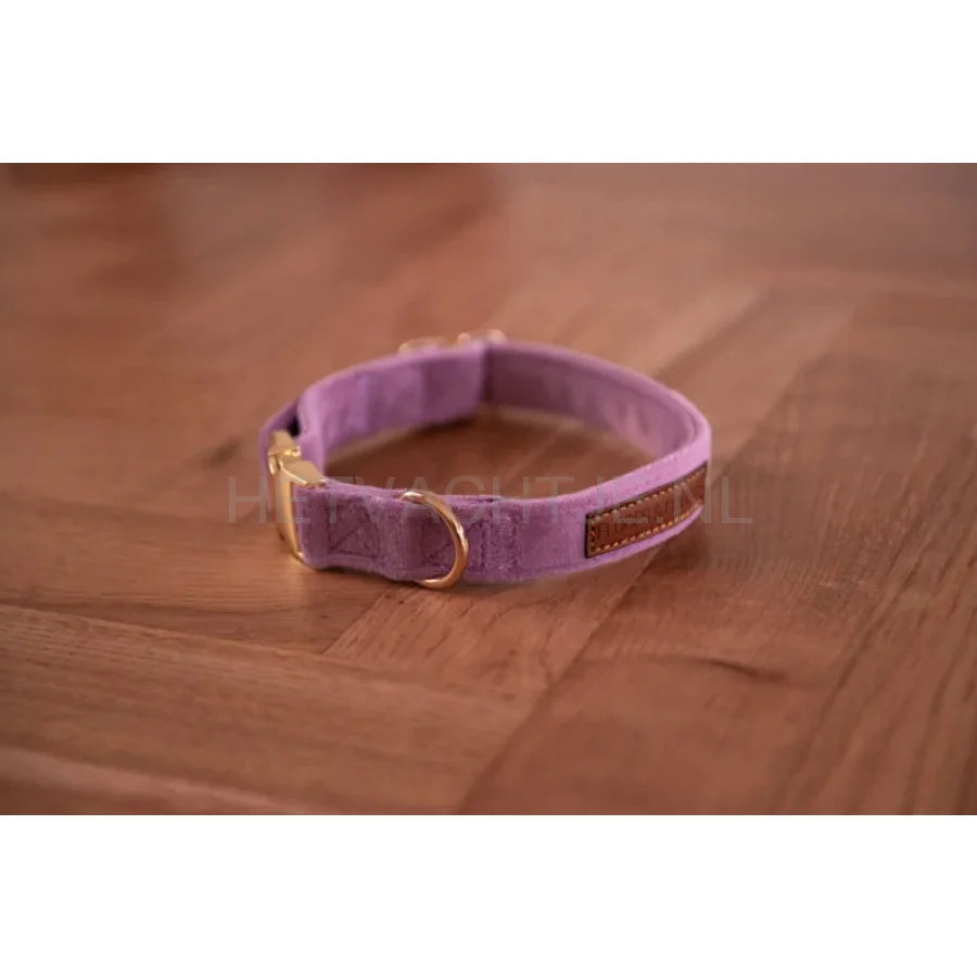 Floofs And Cookies - Velvy Lavie Halsband