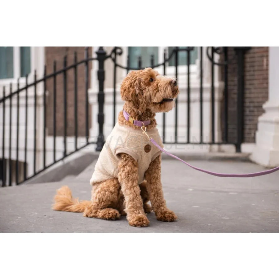 Floofs And Cookies - Velvy Lavie Halsband