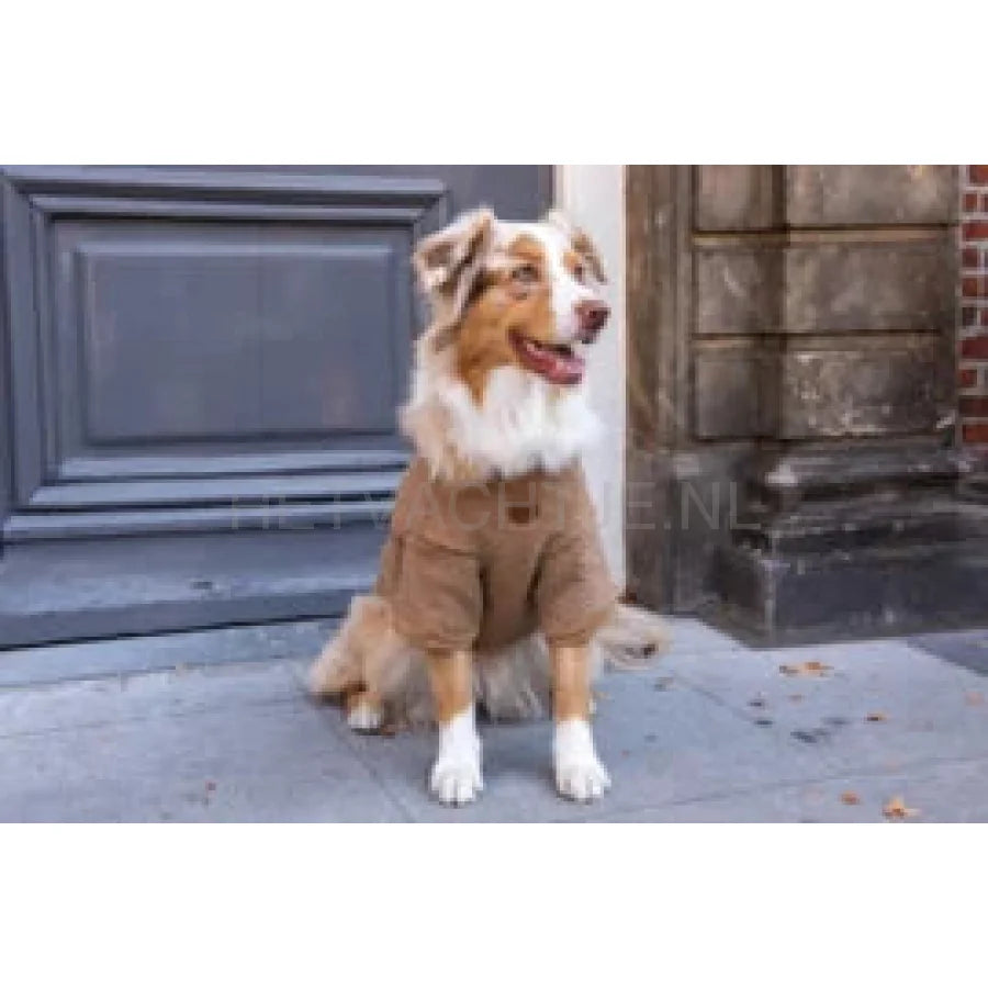 Floofls And Cookies - Walking Teddy Bear Browny Fudge