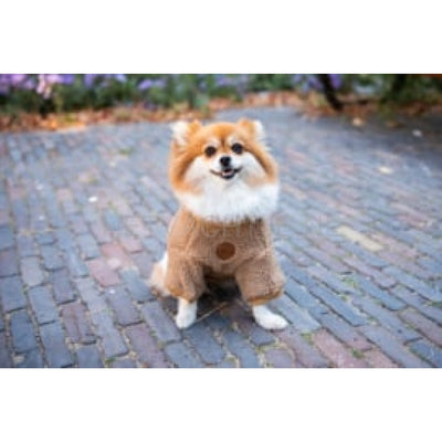 Floofls And Cookies - Walking Teddy Bear Browny Fudge