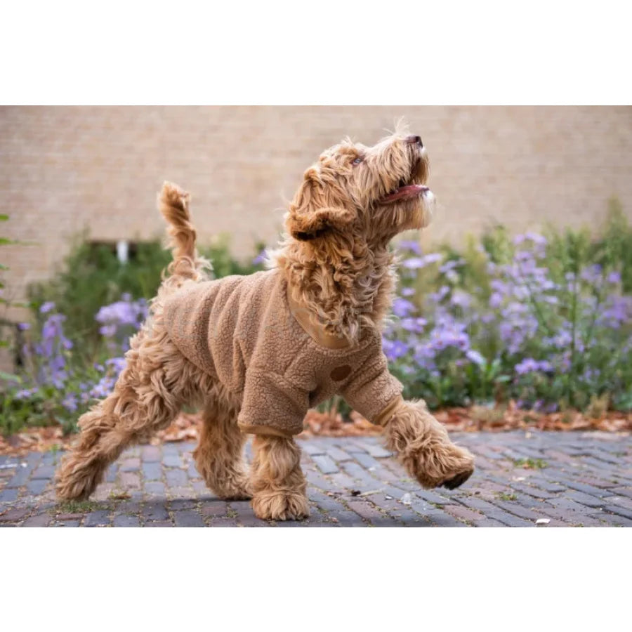 Floofls And Cookies - Walking Teddy Bear Browny Fudge