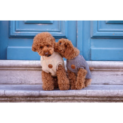 Floofs And Cookies - Walking Teddy Bear Darky Grey