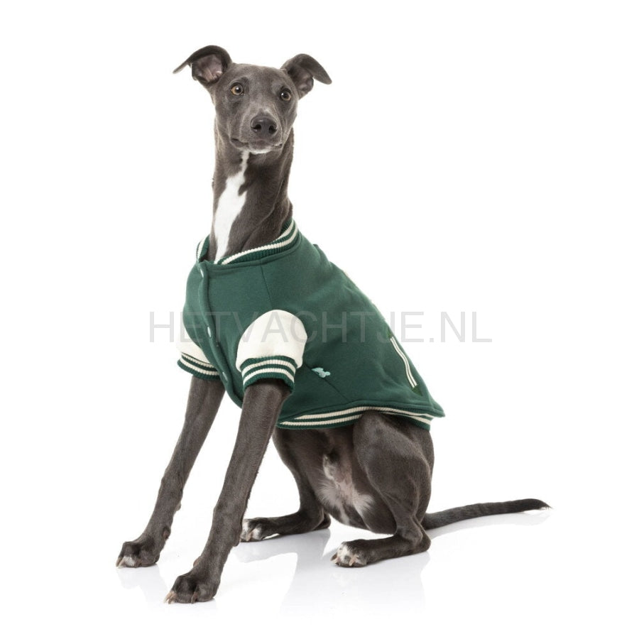 Fuzzyard - The Letterman Jacket Groen Maat 7