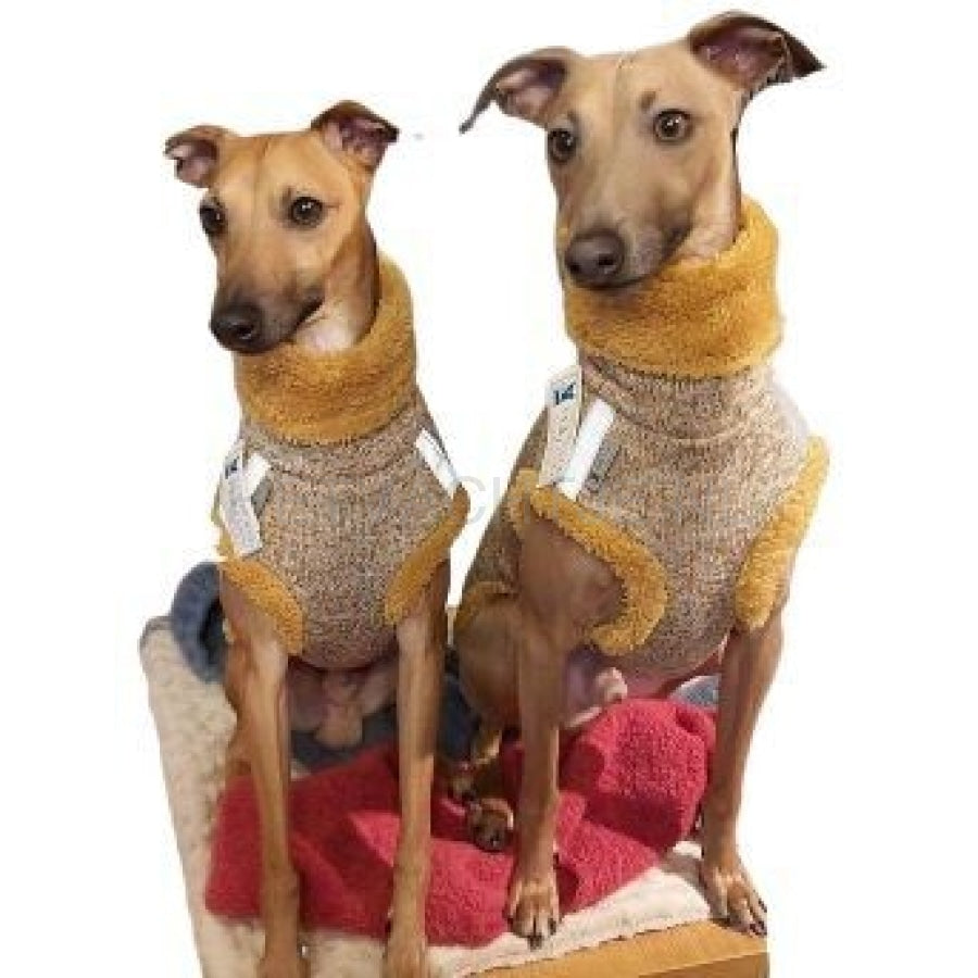 Holly Loo - Pull Teddy Voor Windhonden Geel
