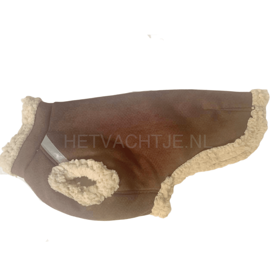 Holly Loo - Teckeltrui Bruin