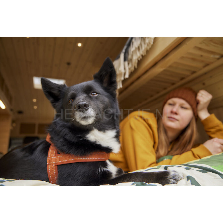Hurtta - Casual Harness Eco Cinnamon