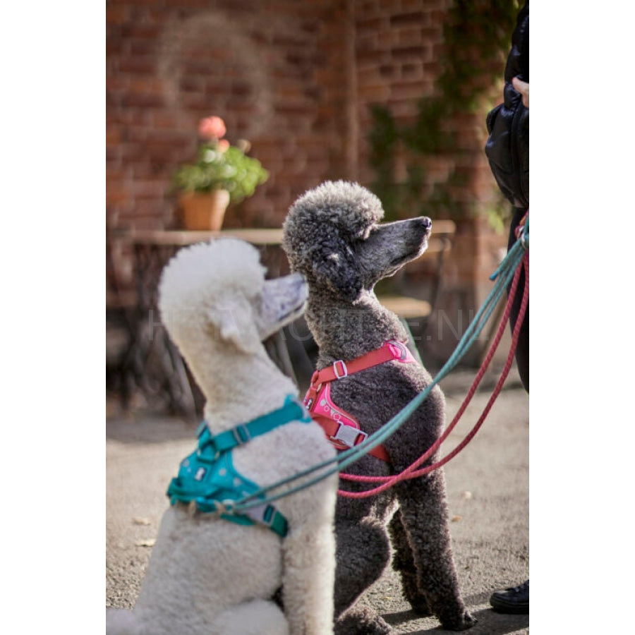 Hurtta - Weekend Warrior Harness Ruby