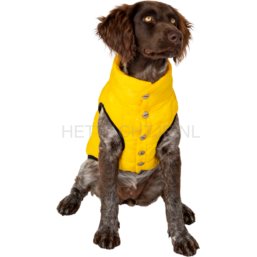Jack&Vanila - Sport Hondenjas Geel