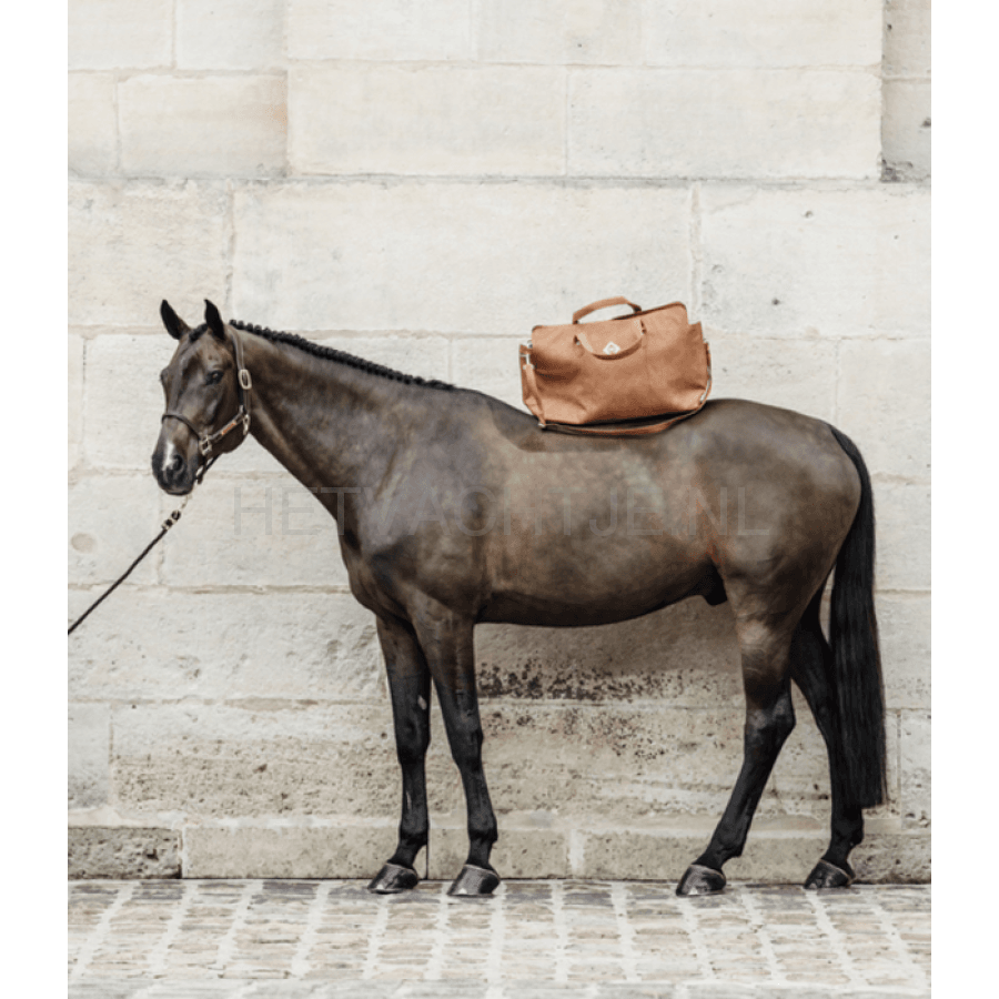 Kentucky - Chestnut Reistas