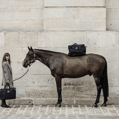 Kentucky - Chestnut Reistas