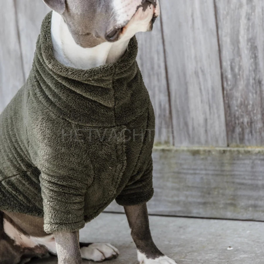 Kentucky - Honden Teddy Fleece Trui