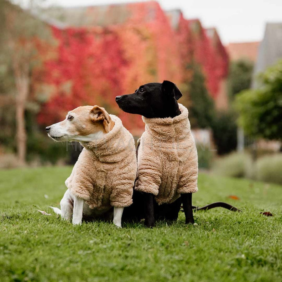 Kentucky - Honden Teddy Fleece Trui