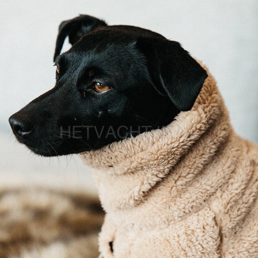 Kentucky - Honden Teddy Fleece Trui