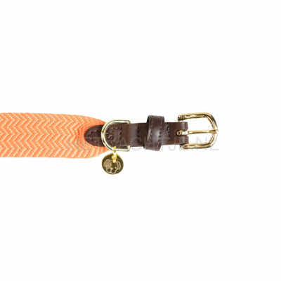 Kentucky - Hondenhalsband Jacquard Oranje