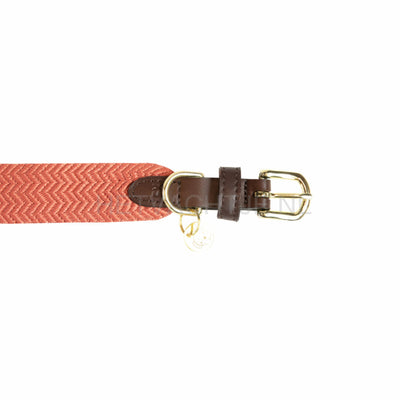 Kentucky - Hondenhalsband Jacquard Terracotta