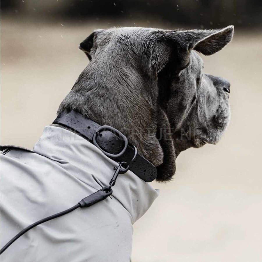 Kentucky - Hondenhalsband Soft Rubber Zwart Halsbanden En Tuigjes Voor Huisdieren
