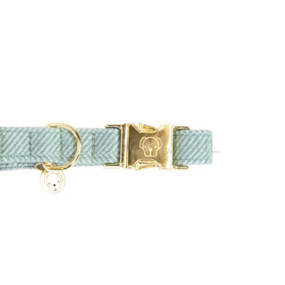 Kentucky - Hondenhalsband Wol Licht Blauw