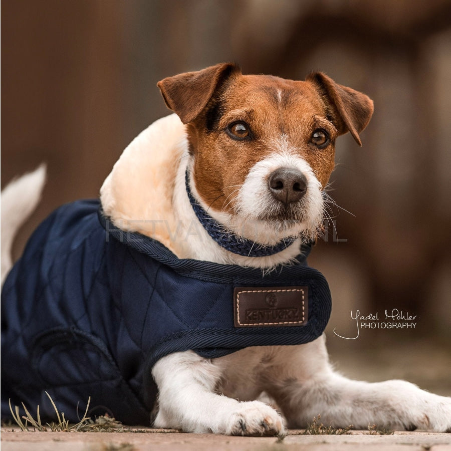 Kentucky - Hondenjas Original Marine Blauw