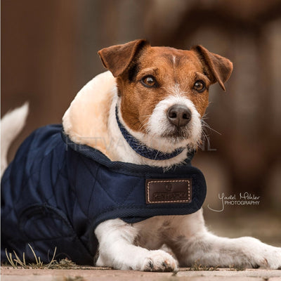 Kentucky - Hondenjas Original Marine Blauw