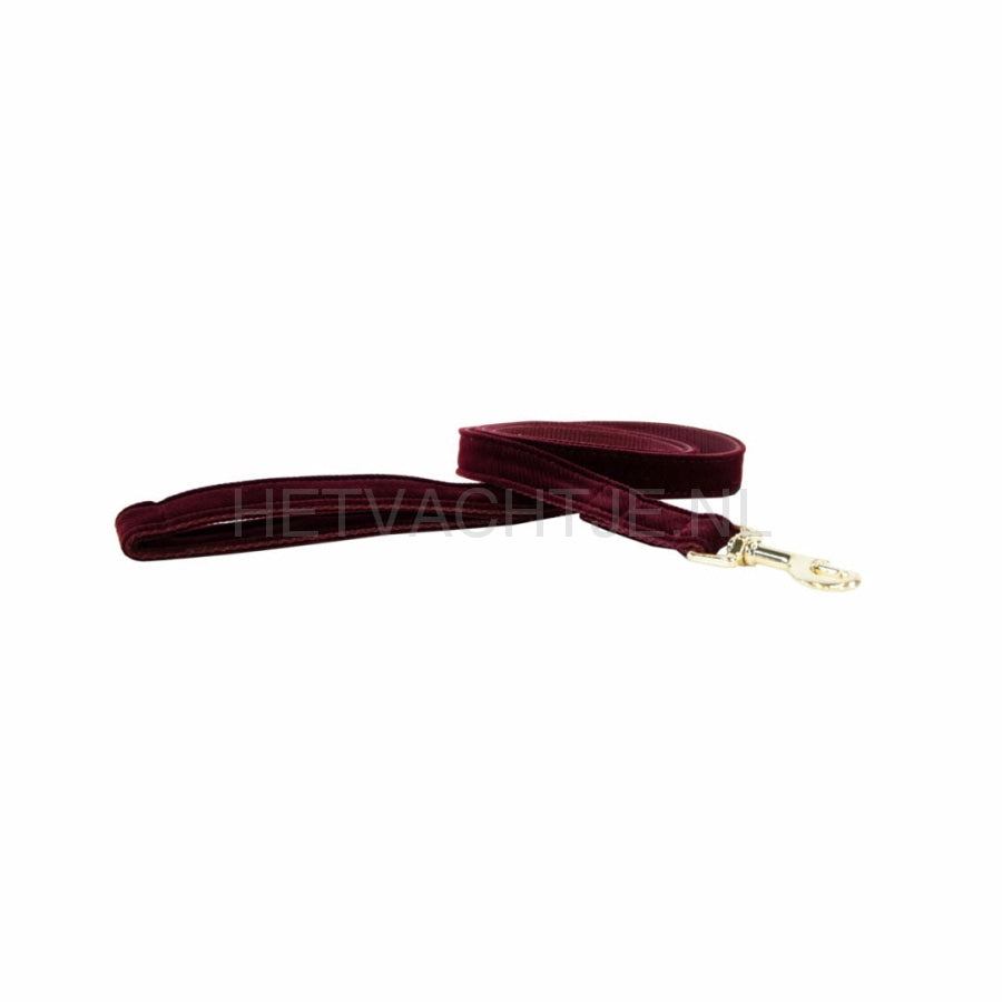 Kentucky - Hondenlijn Corduroy Bordeaux Hondenriemen