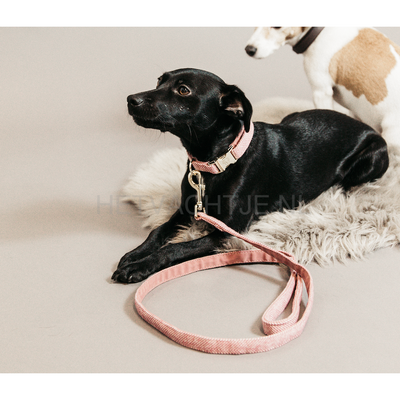 Kentucky - Hondenlijn Wol Oud Roze Hondenriemen