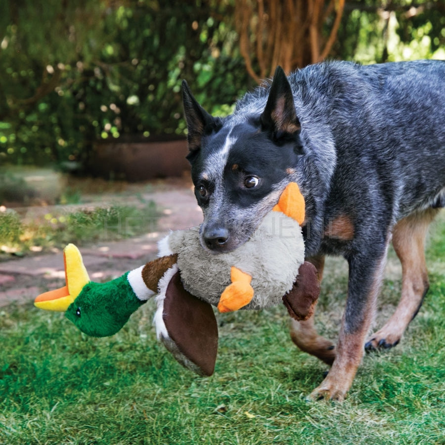 Kong - Hond Shakers Honkers Eend Pluche