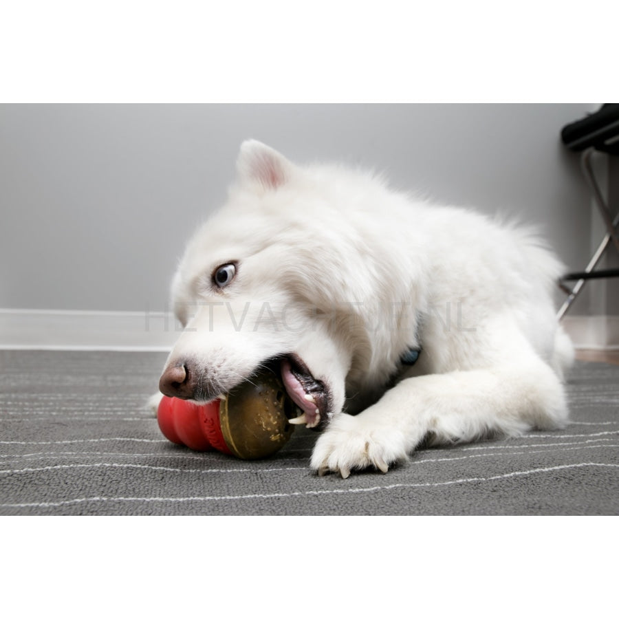 Kong Marathon 2Pack Hondentraktatie (2 Smaken) Hondenspeeltjes