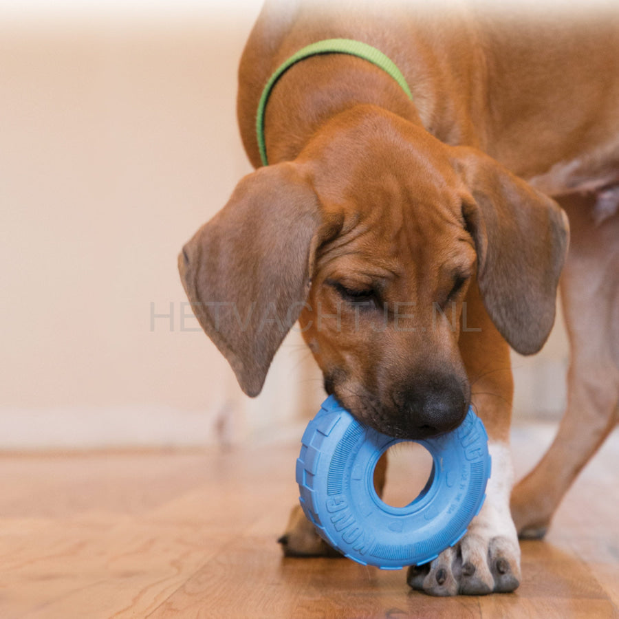 Kong Puppy Tires Small Hondenspeeltje (2 Kleuren) Hondenspeeltjes
