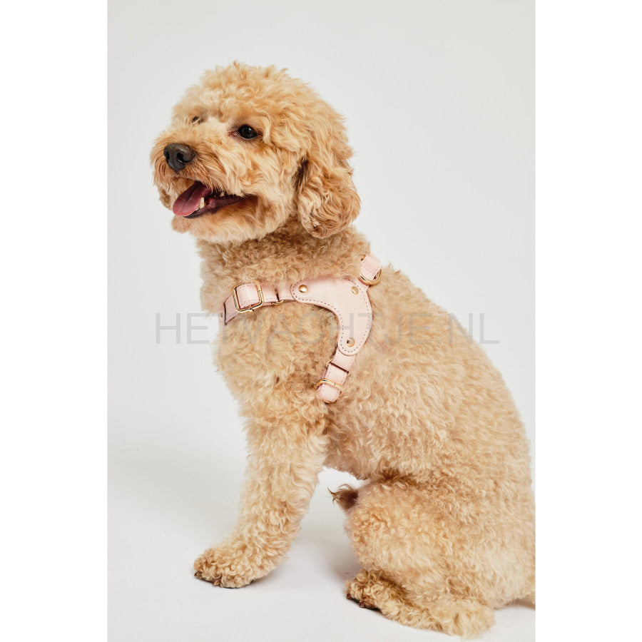 Kusaka - Classy Harnass Light Pink