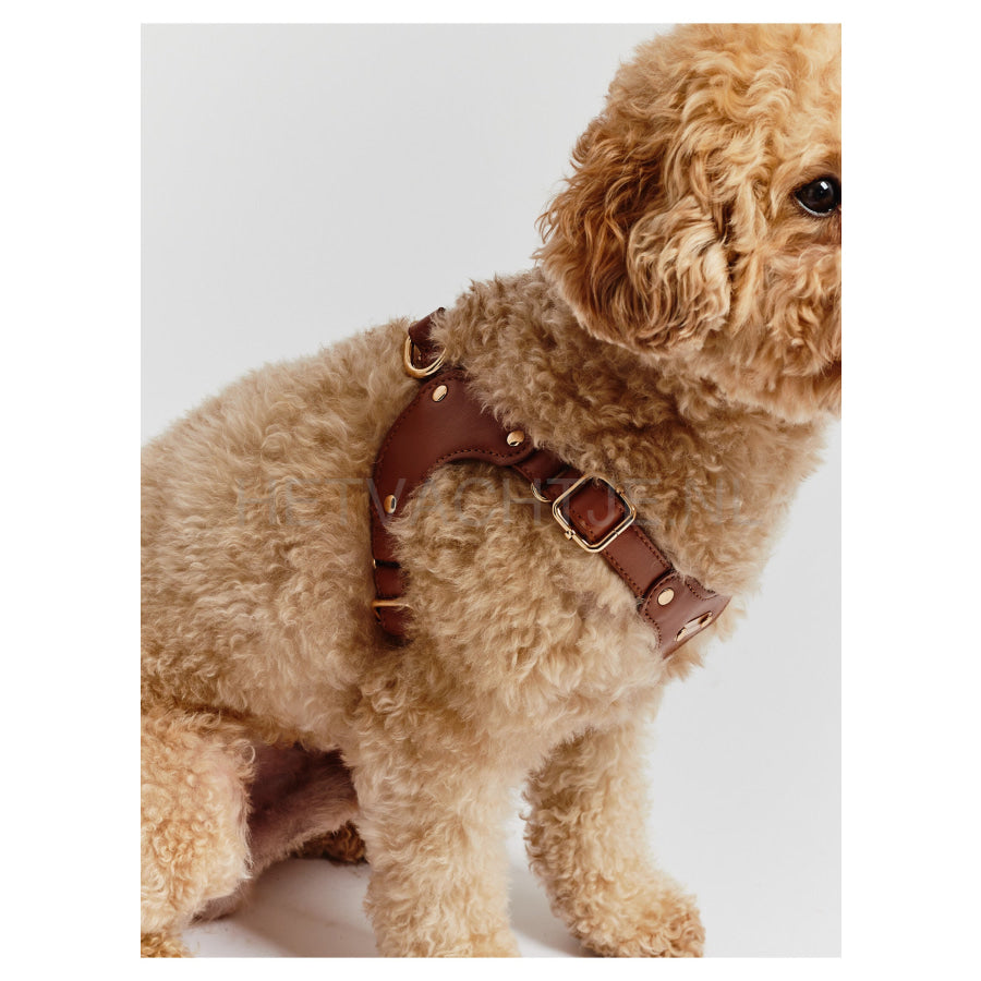 Kusaka - Classy Harnass Toffee Brown