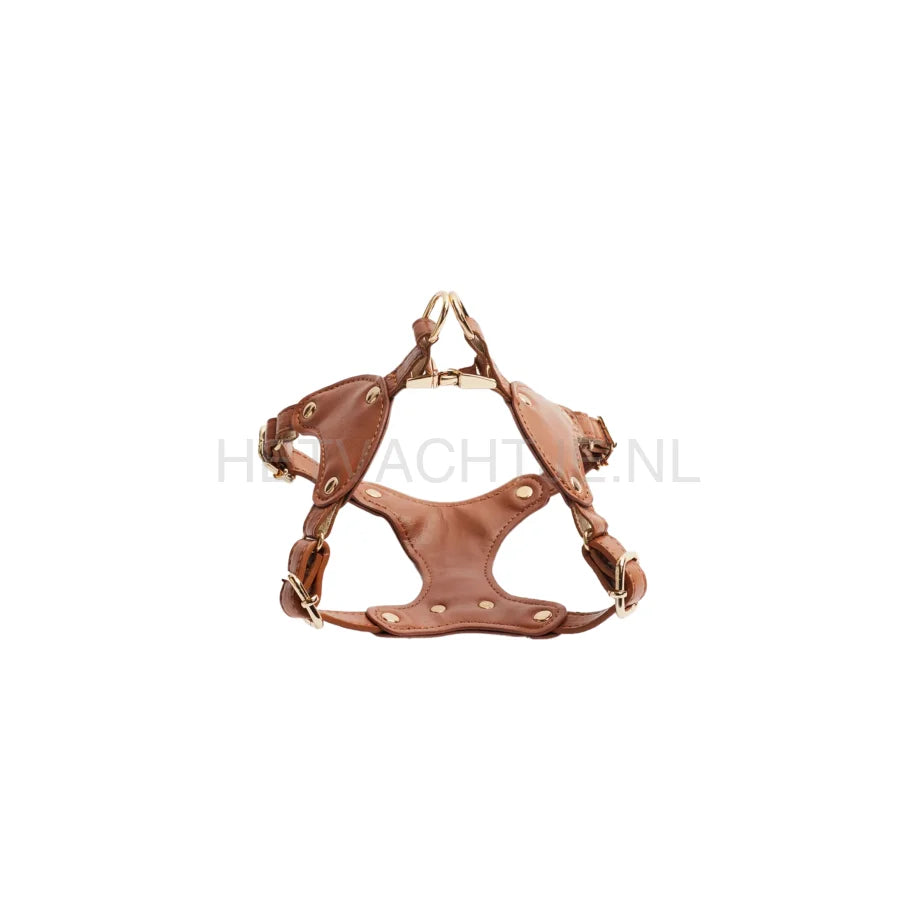 Kusaka - Classy Harnass Toffee Brown