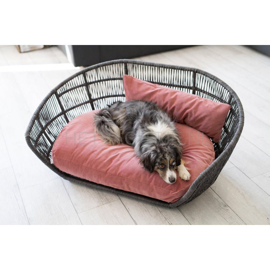 Laboni - Prado-Oxford design hondenmand Roos