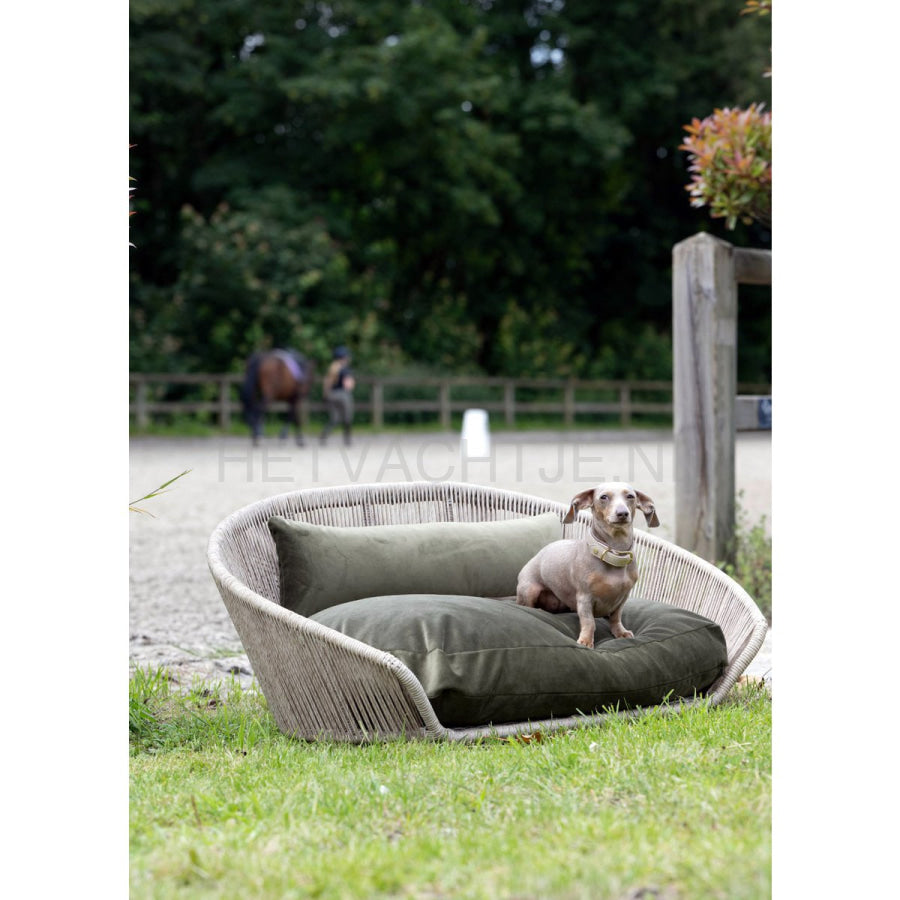 Laboni - Vogue-Oxford Design Hondenmand