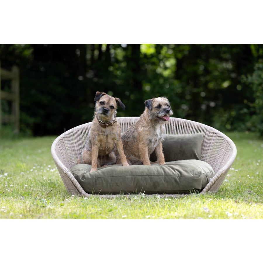 Laboni - Vogue-Oxford Design Hondenmand