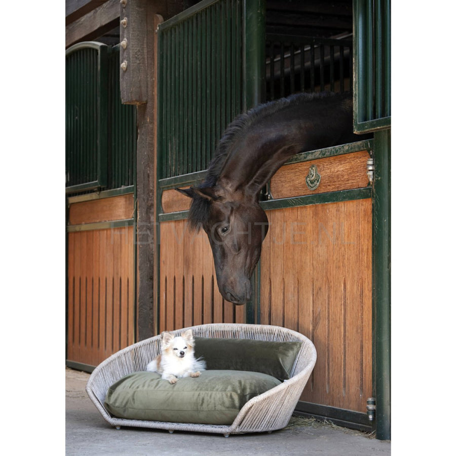 Laboni - Vogue-Oxford Design Hondenmand
