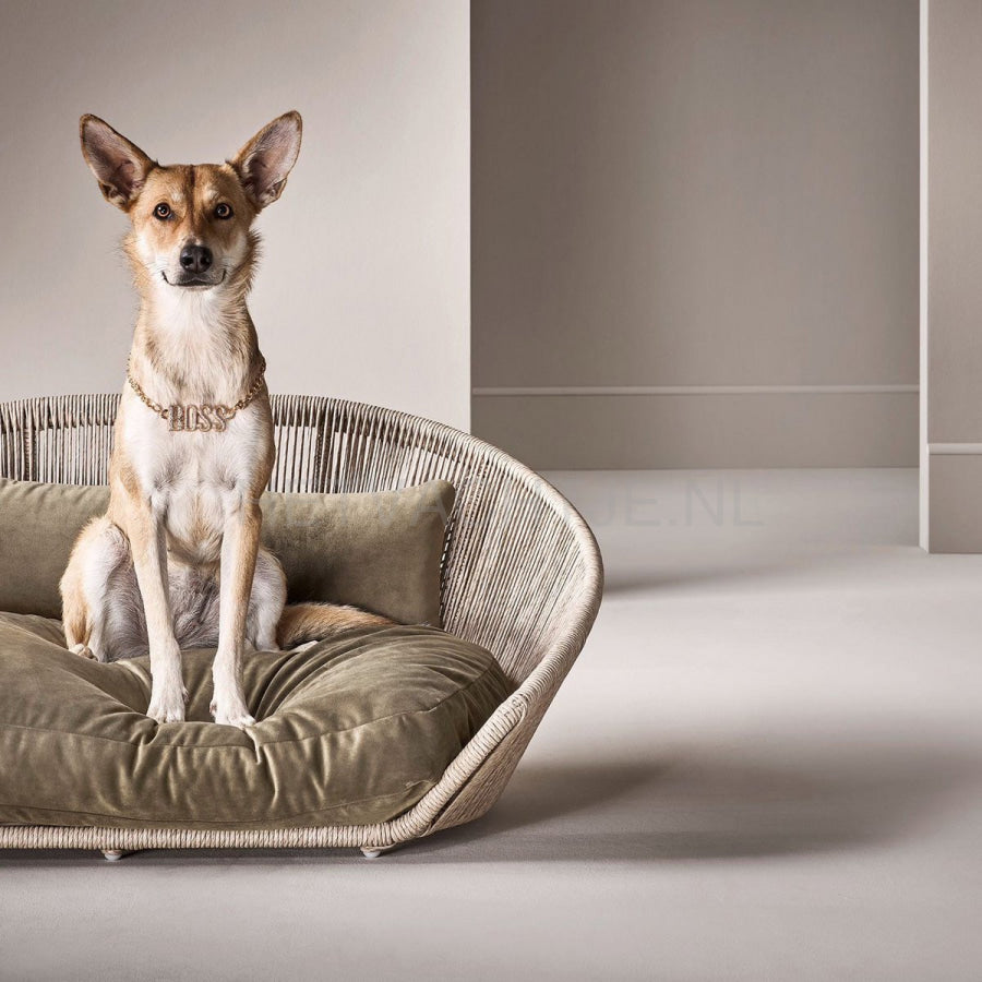 Laboni - Vogue-Oxford Design Hondenmand