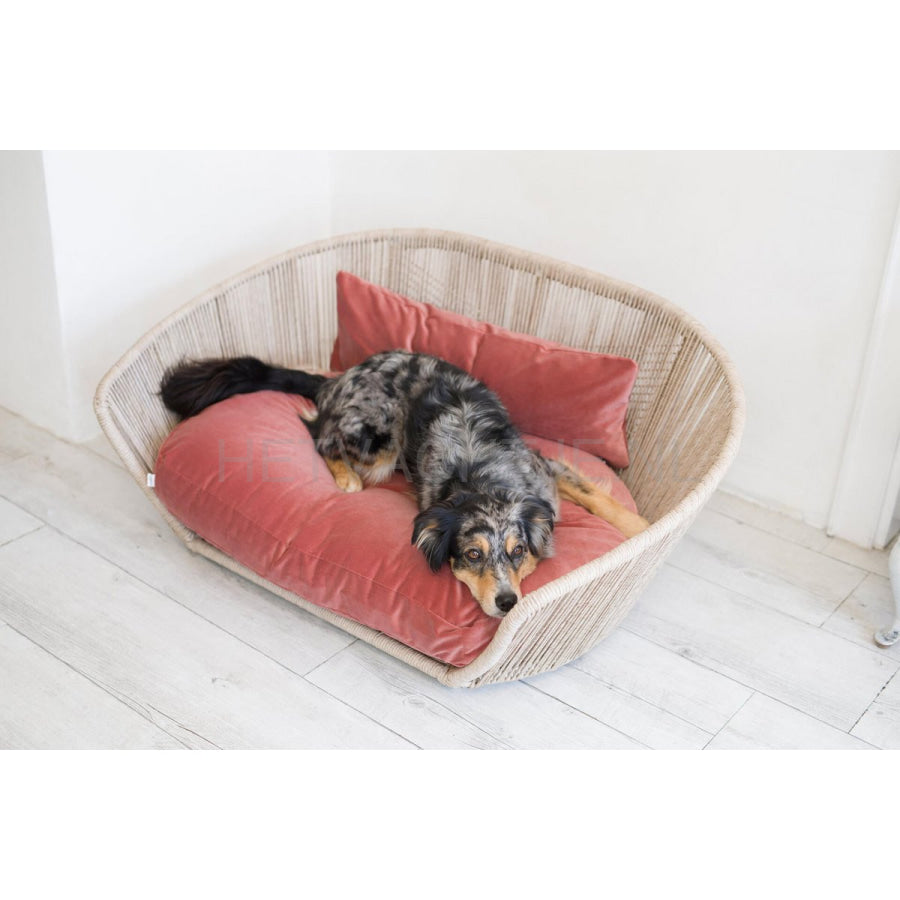 Laboni - Vogue-Oxford Design Hondenmand