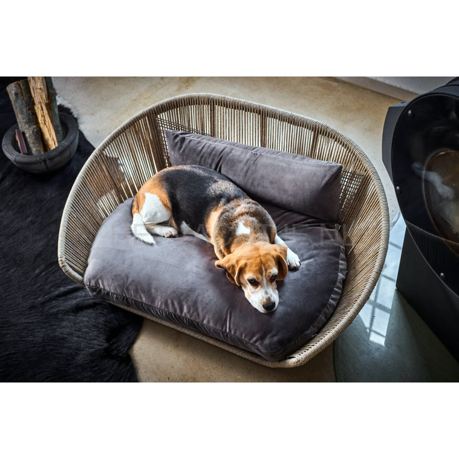 Laboni - Vogue-Oxford Design Hondenmand