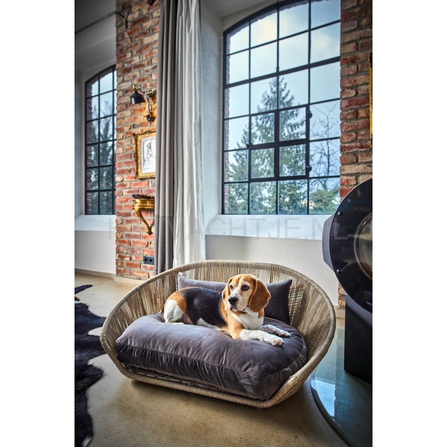 Laboni - Vogue-Oxford Design Hondenmand