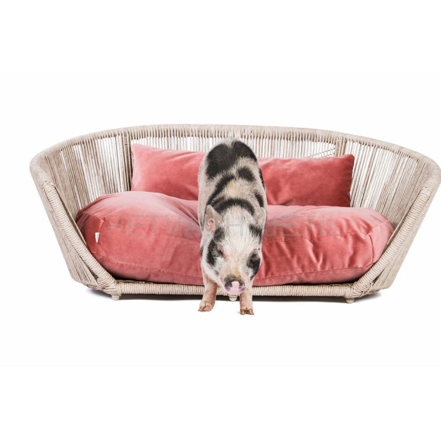 Laboni - Vogue-Oxford Design Hondenmand Roos