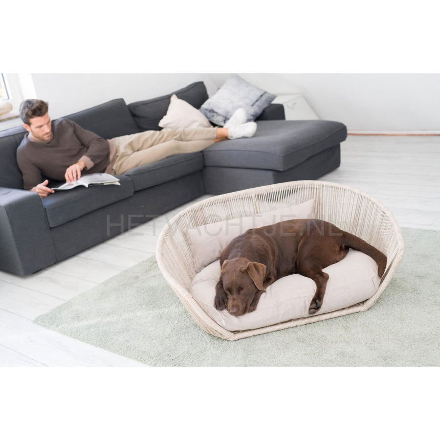 Laboni - Vogue-Smooth Design Hondenmand