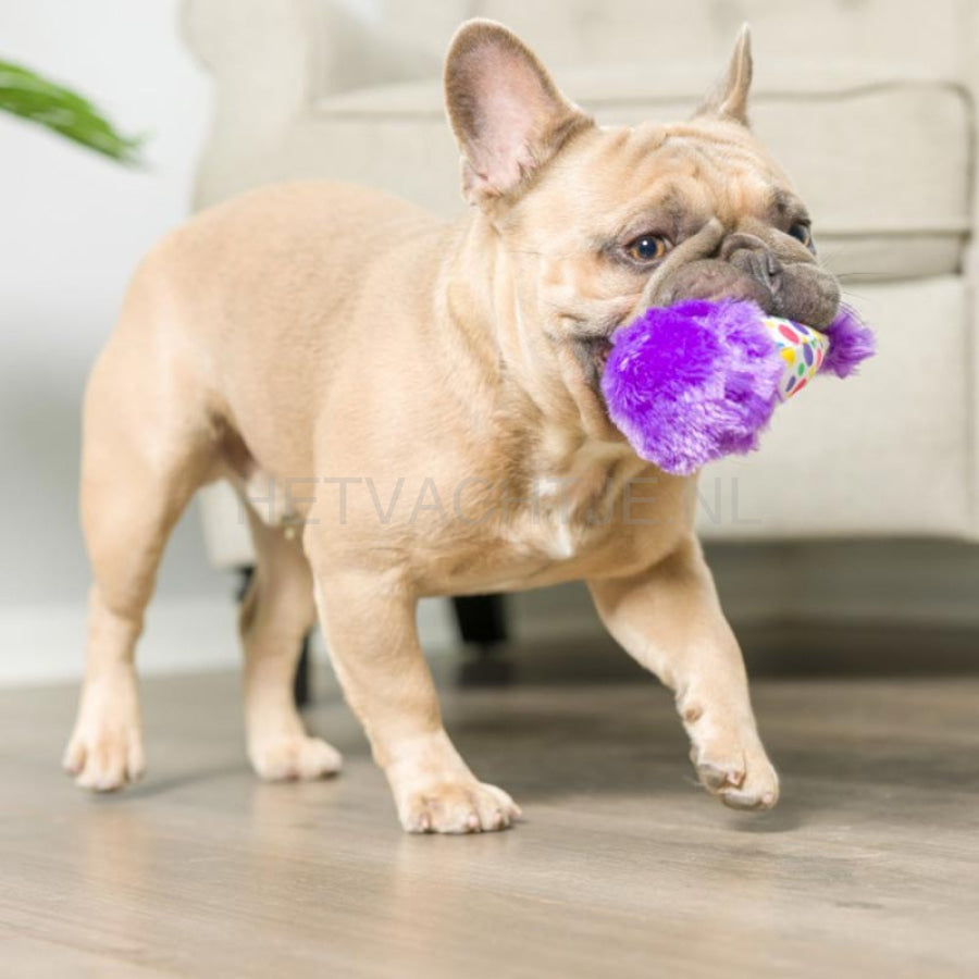 Lulubelles - Tiny Tuff Its My Barkday